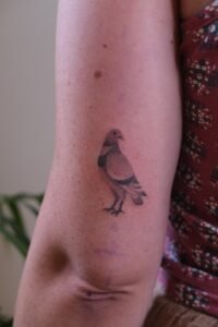 Micro-realistic pigeon bird tattoo in soft grey shading on upper arm